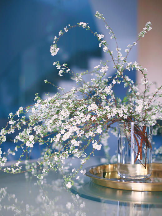 鲜枝雪柳中通包邮【一生温暖纯良，不舍爱与自由】简小姐精选 冬日新品神仙花材 浪漫清新雪柳1束 72小时发货 商品图11