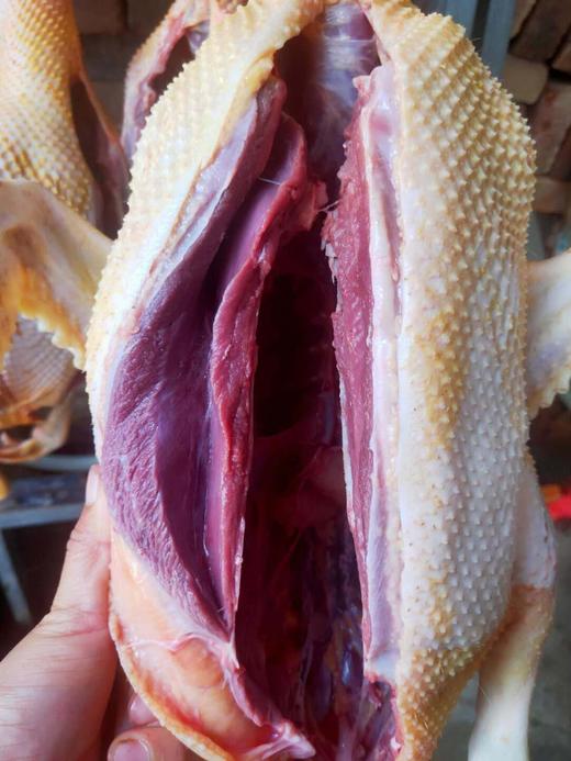 福建溪流三年老番鸭【七斤左右】 商品图0