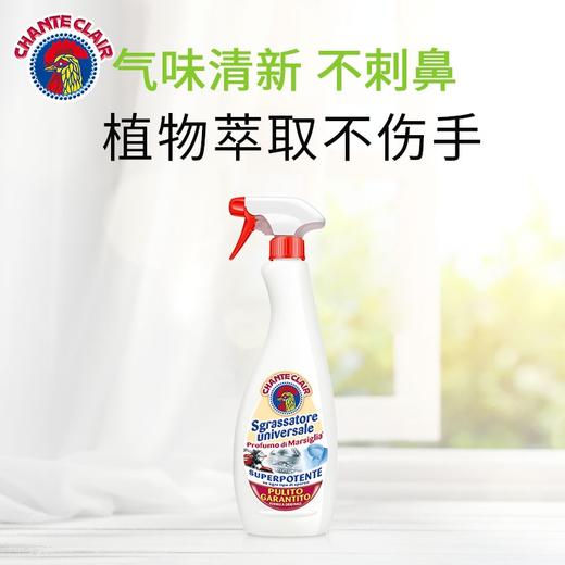 ChanteClair大公鸡管家多功能清洁剂(经典味) 商品图2
