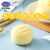港荣蒸蛋糕新鲜奶香味 网红营养早餐零食糕点 整箱900g-XL 商品缩略图3