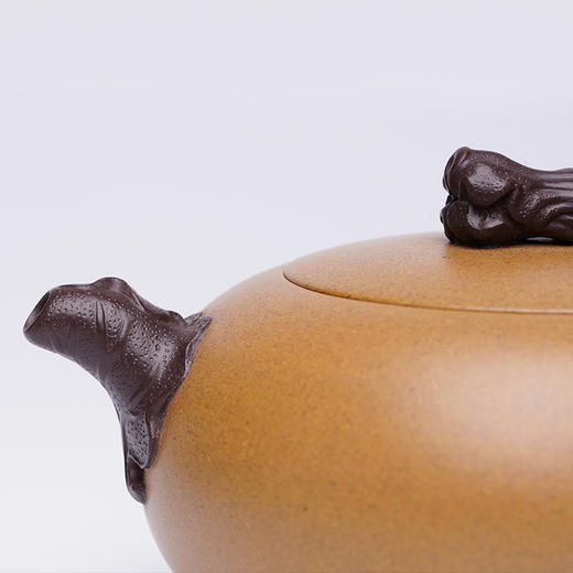 龙德堂陶艺 徐飞制 《升官发财》 原矿黄金段 300cc(库存请咨询客服) 商品图4