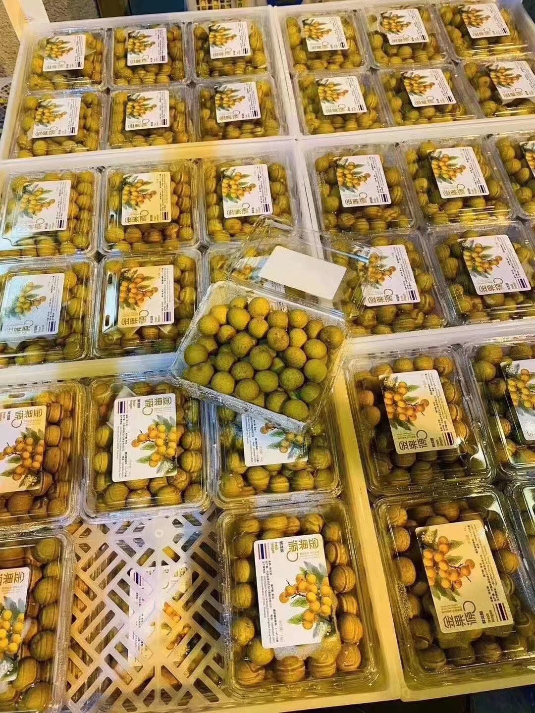 金果源特级货2j的大果哦龙眼新鲜到货果肉晶莹剔透很甜2斤净重