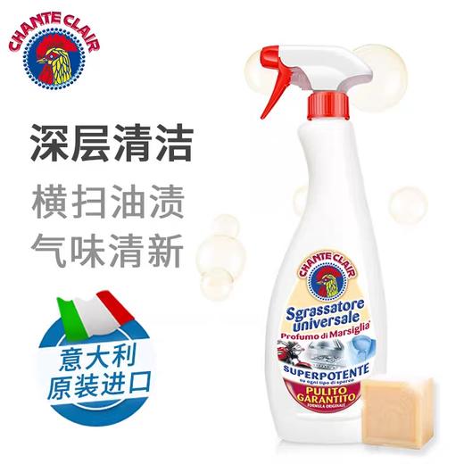 ChanteClair大公鸡管家多功能清洁剂(经典味) 商品图6