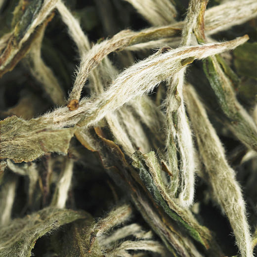 国色天香 2020年白牡丹 福鼎白茶  30g/罐  成箱规格：80罐 商品图2