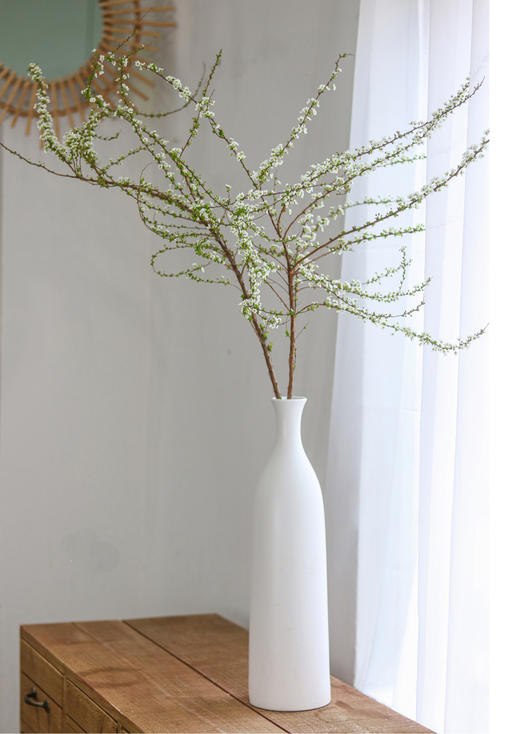 鲜枝雪柳中通包邮【一生温暖纯良，不舍爱与自由】简小姐精选 冬日新品神仙花材 浪漫清新雪柳1束 72小时发货 商品图5