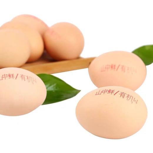 山中鲜有机鸡蛋30枚 商品图1