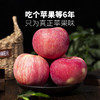预售【功夫苹果】等了六年才能吃到的苹果！果香四溢，爆甜爽脆！对标日本青森苹果种植！品味高端美味水果，生活就要与众不同！丁苹果 商品缩略图0
