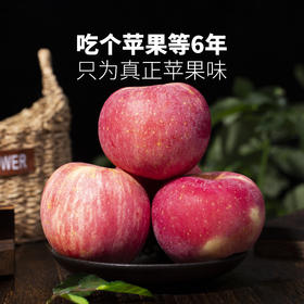 【功夫苹果】等了六年才能吃到的苹果！果香四溢，爆甜爽脆！对标日本青森苹果种植！品味高端美味水果，生活就要与众不同！丁苹果