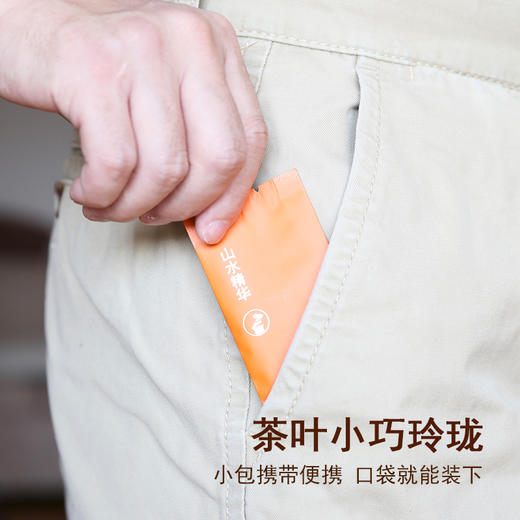 白茶 | 中雄御品 2015年山水精华 贡眉方砖 春茶 40g 商品图4