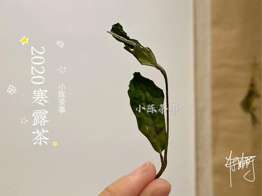 2020高山寒露茶，带着深秋的甘醇，暗香浮动 商品图6