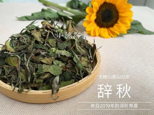 2019年深秋白茶《辞秋》，媲美2017霜降茶的珍藏版高山白茶 商品图4