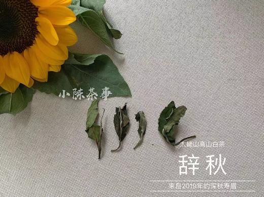 2019年深秋白茶《辞秋》，媲美2017霜降茶的珍藏版高山白茶 商品图3