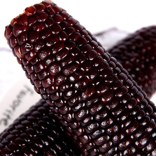 限时抢购东北黑糯玉米常温储藏真空锁鲜独立包装单棒约重200g以上