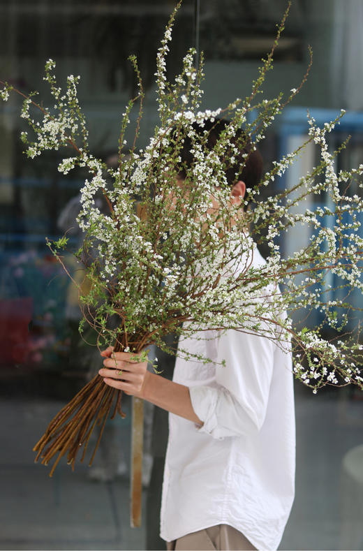 鲜枝雪柳中通包邮【一生温暖纯良，不舍爱与自由】简小姐精选 冬日新品神仙花材 浪漫清新雪柳1束 72小时发货 商品图3