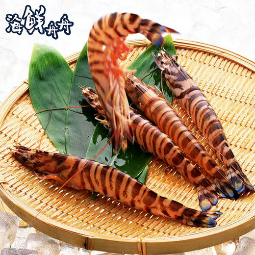 【野生】超低温  九节虾 商品图2