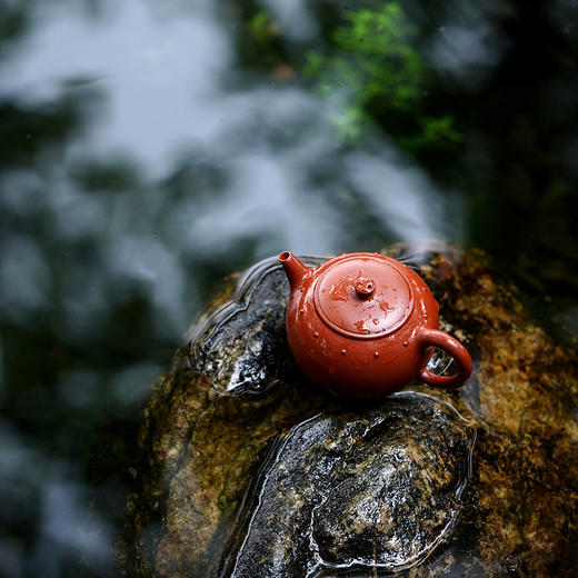 龙德堂陶艺 徐飞制 《虚怀》 原矿大红袍 240cc 库存咨询客服 商品图1