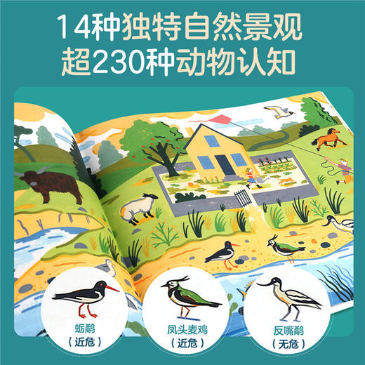 乐乐趣-和大自然一起玩 商品图4
