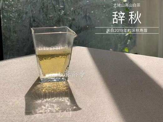 2019年深秋白茶《辞秋》，媲美2017霜降茶的珍藏版高山白茶 商品图9