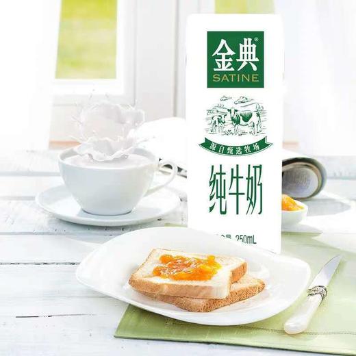 金典 纯牛奶250ml*12盒/2箱 商品图1