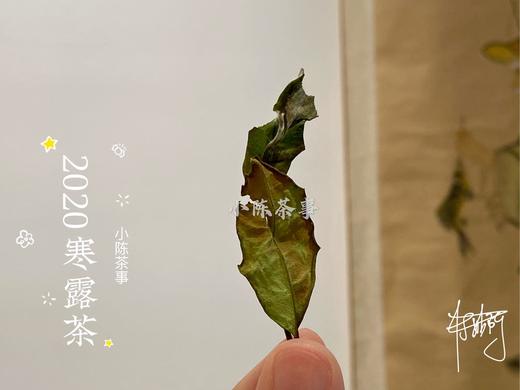 2020高山寒露茶，带着深秋的甘醇，暗香浮动 商品图5