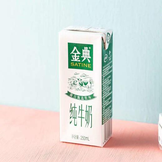 金典 纯牛奶250ml*12盒/2箱 商品图6
