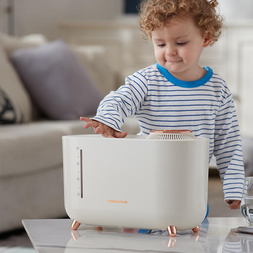 摩飞无雾加湿器 家用静音卧室孕妇婴儿宿舍小型大雾量客厅加湿机2081 商品图5