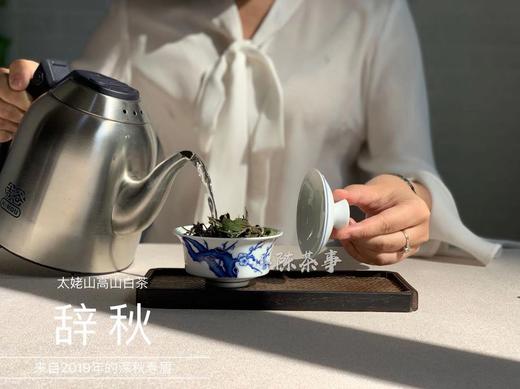 2019年深秋白茶《辞秋》，媲美2017霜降茶的珍藏版高山白茶 商品图7