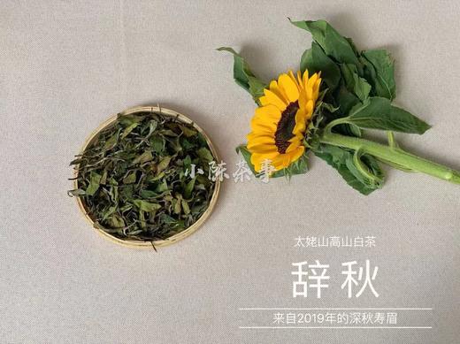 2019年深秋白茶《辞秋》，媲美2017霜降茶的珍藏版高山白茶 商品图1