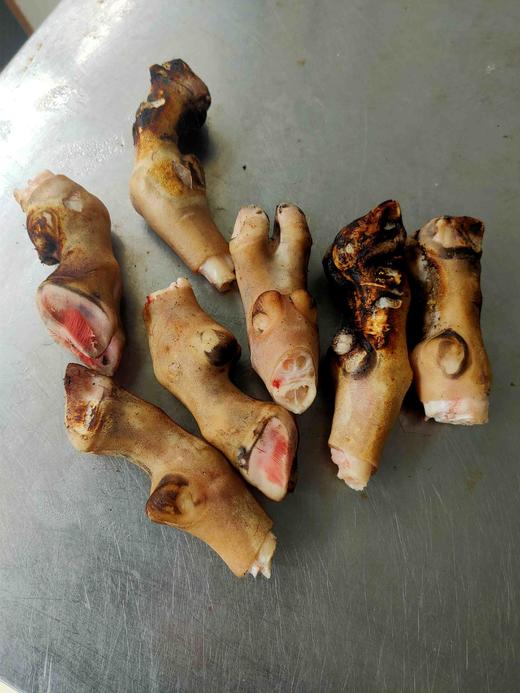 洗干净的羊蹄 1斤5一6个 商品图1