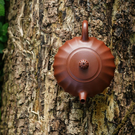 龙德堂陶艺 汤宣武制 《合菱 》 原矿底槽清 280cc 库存咨询客服 商品图1