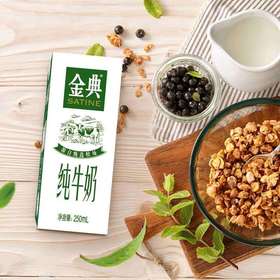 金典 纯牛奶250ml*12盒/2箱