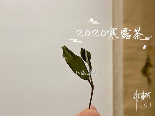 2020高山寒露茶，带着深秋的甘醇，暗香浮动 商品图4