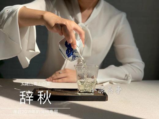 2019年深秋白茶《辞秋》，媲美2017霜降茶的珍藏版高山白茶 商品图6
