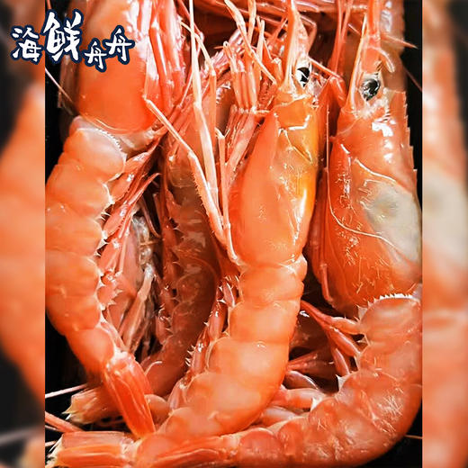 【野生】超低温 东海红虾（船活冻）500g/盒 商品图3