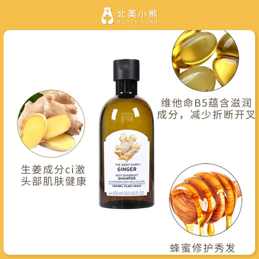 The body shop美体小铺生姜头皮护理防脱去屑止痒控油洗发水2瓶 #天津仓 商品图8