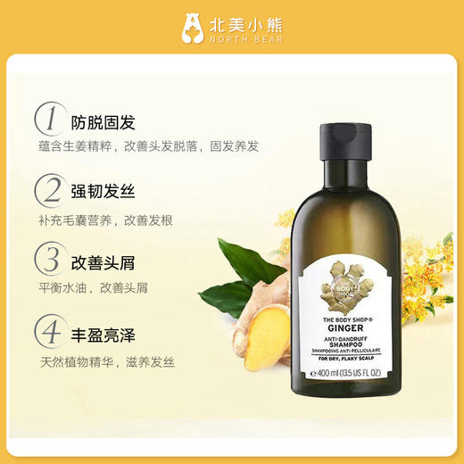 The body shop美体小铺生姜头皮护理防脱去屑止痒控油洗发水2瓶 #天津仓 商品图2