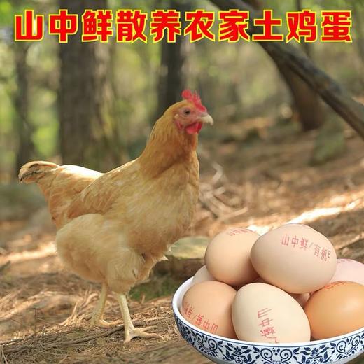 山中鲜有机鸡蛋30枚 商品图3