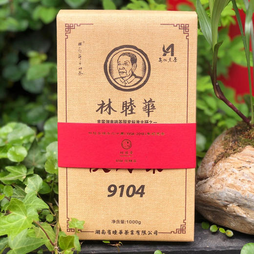 黑茶 | 林老爷子 2017年9104茯砖 1kg 商品图1