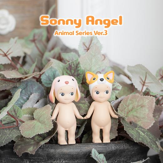Sonny Angel 动物系列3 商品图4