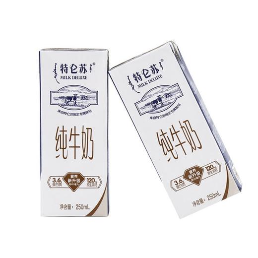 特仑苏 纯牛奶250ml*12盒/2箱 商品图6