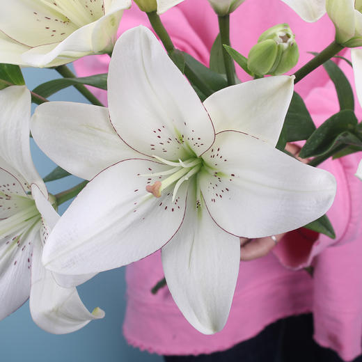 亚百合·眼线 商品图0