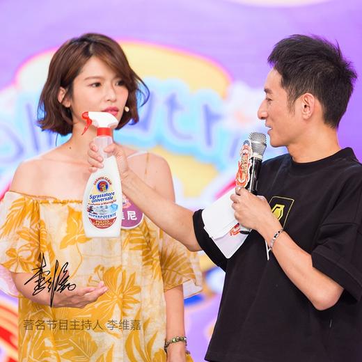 ChanteClair大公鸡管家多功能清洁剂(经典味) 商品图5