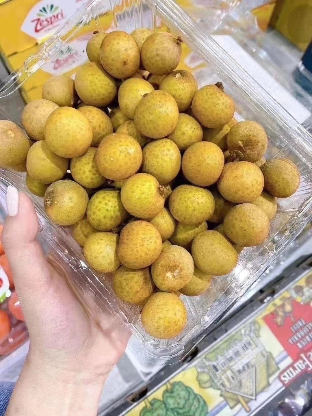 金果源特级货2j的大果哦龙眼新鲜到货果肉晶莹剔透很甜2斤净重
