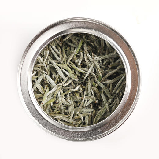 真知针味 2020年白毫银针 福鼎白茶  30g/罐 80罐/箱 商品图1