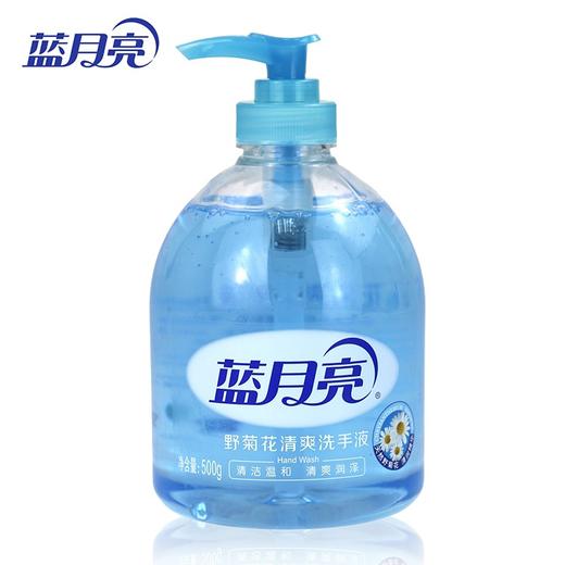 蓝月亮野菊花洗手液   500g/瓶 商品图0