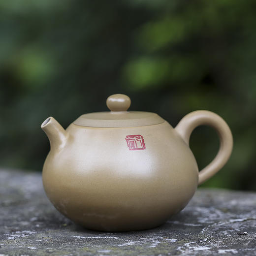 范程柏 壶 商品图1