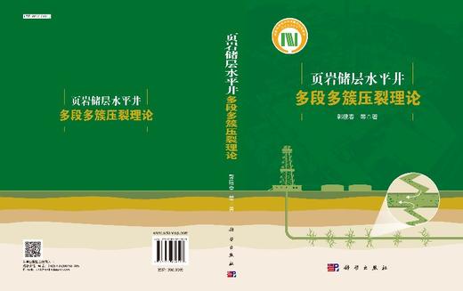 页岩储层水平井多段多簇压裂理论 商品图3