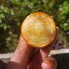 广西 融安 脆蜜金柑 商品缩略图4