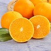四川·爱媛38号果冻橙 新鲜手剥甜橙 现摘现发 当季水果 整箱包邮 商品缩略图1
