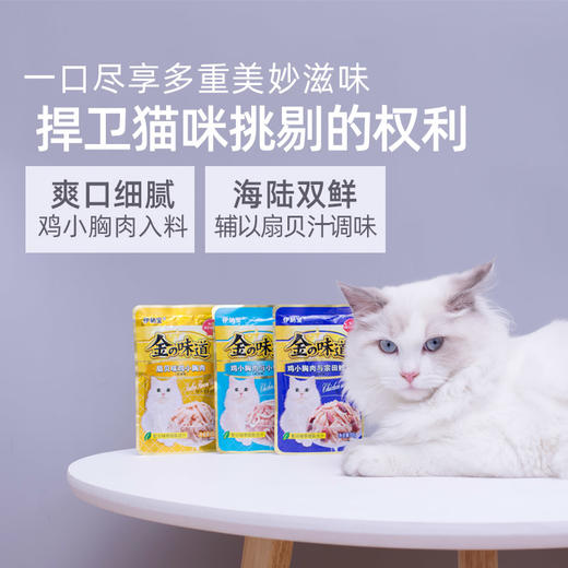 伊纳宝猫零食金味道妙好鲜包猫鸡小胸肉60g *12 商品图2